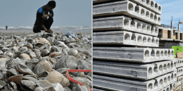 بتن سبز ساختهشده از صدف آینده ساختوساز را متحول می کند