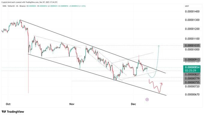 چشم‌انداز قیمت شیبا اینو