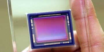 دید حرارتی مار