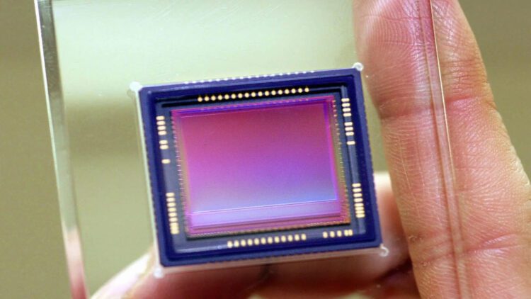 دید حرارتی مار