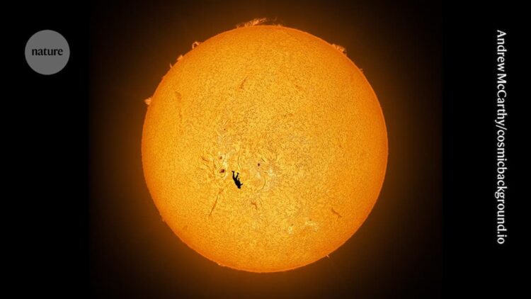 نیچر شاخص‌ترین تصاویر علمی سال ۲۰۲۵ را منتشر کرد؛ از اعماق فضا تا زیست‌پزشکی و بحران اقلیم.