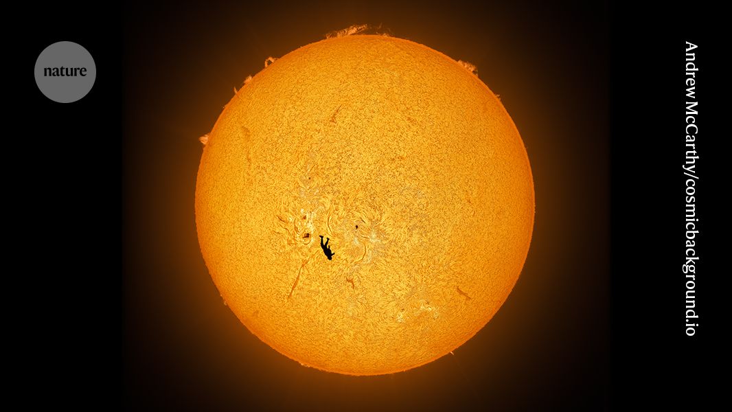 تصاویر علمی برگزیده نیچر ۲۰۲۵