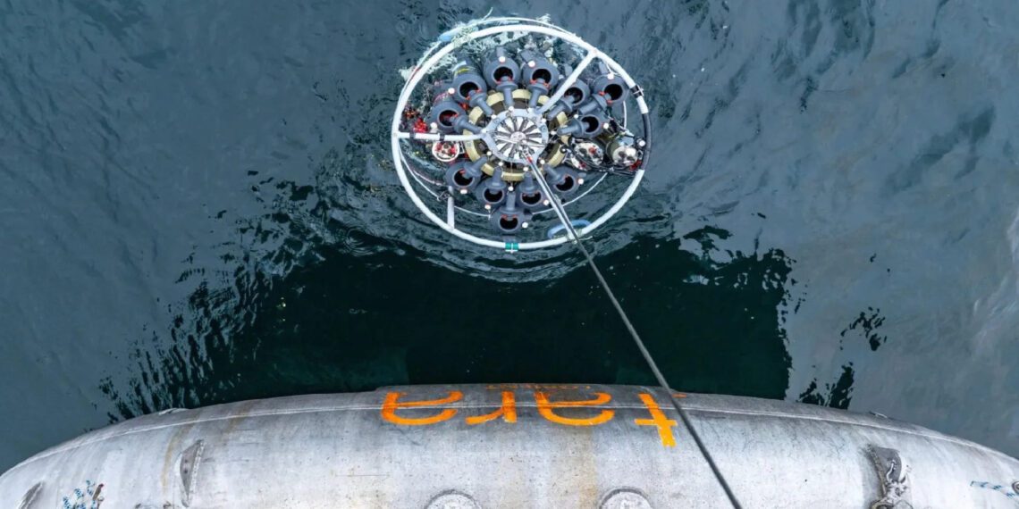 ویروس‌های اقیانوسی