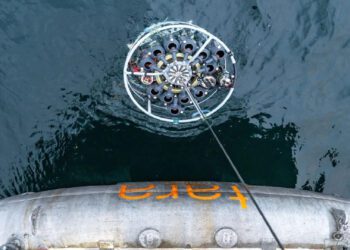 ویروس‌های اقیانوسی