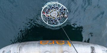 ویروس‌های اقیانوسی