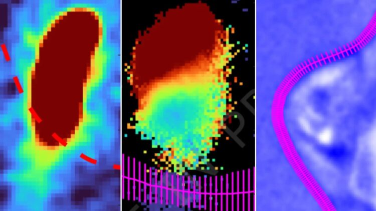 برای اولین بار اتم اکسیژن حل‌شده در آب با کمک لیزر فوق سریع به‌ دام افتاد