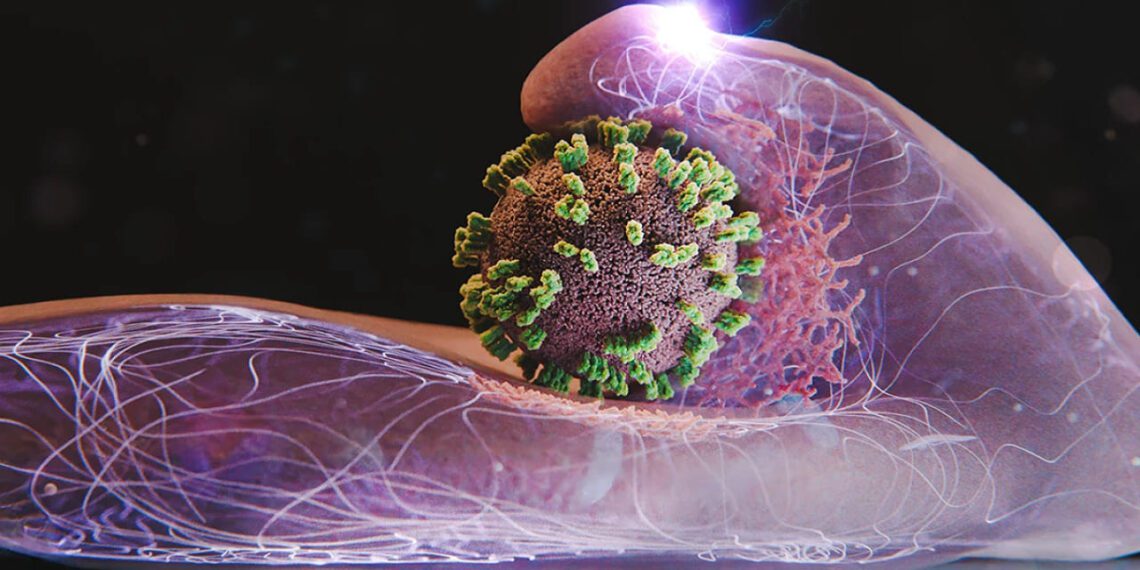 لحظه نفوذ ویروس آنفولانزا به سلول انسان