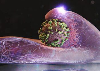 لحظه نفوذ ویروس آنفولانزا به سلول انسان