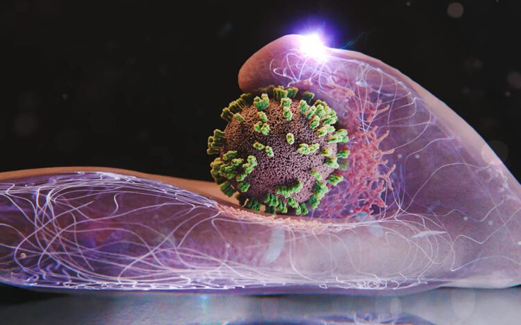 لحظه نفوذ ویروس آنفولانزا به سلول انسان