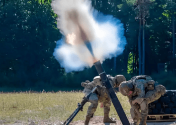 اسکنر مغز کوانتومی