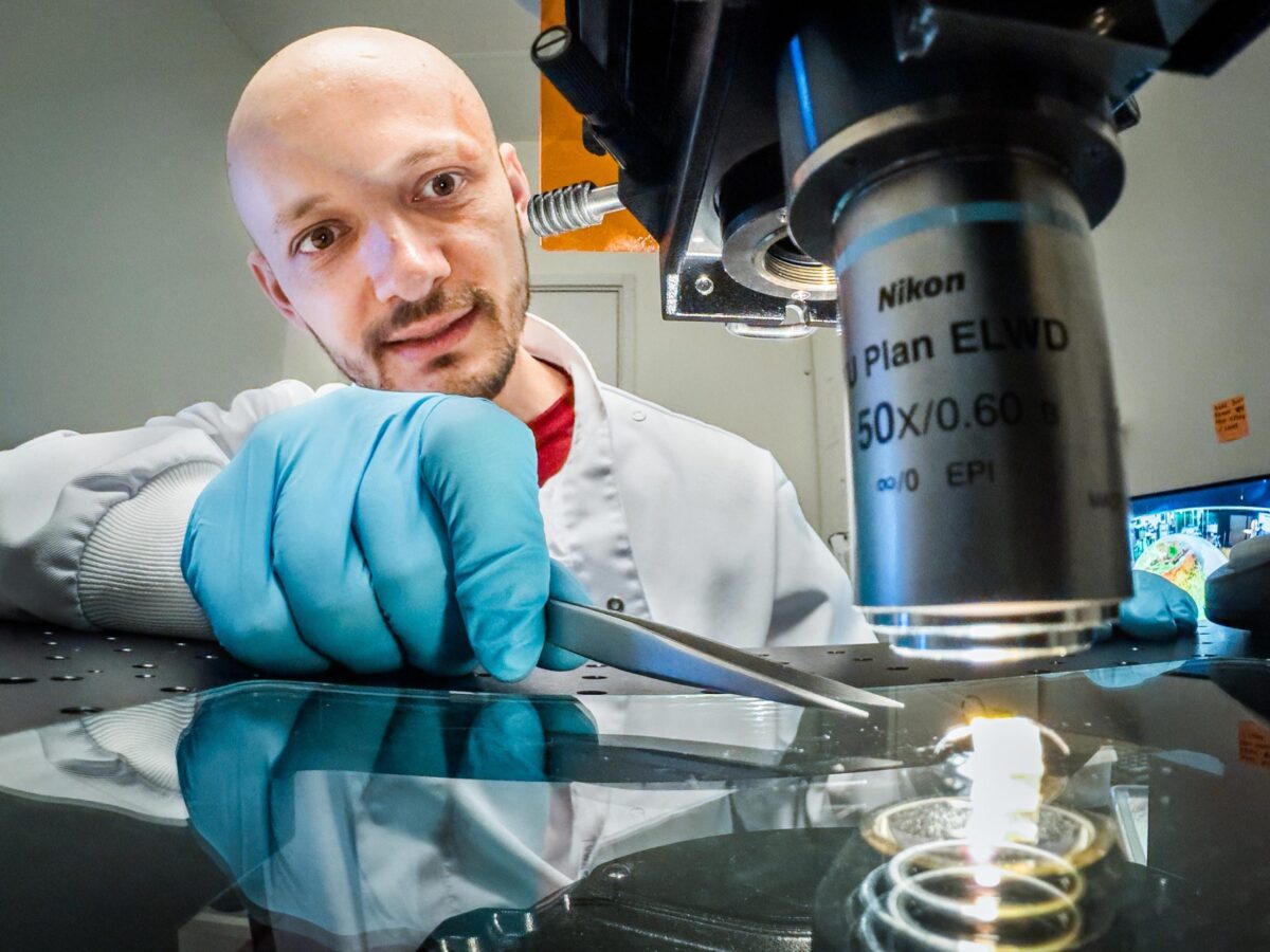 توبیاس آبراهامسون، پژوهشگر الکترونیک آلی در محیط آزمایشگاهی