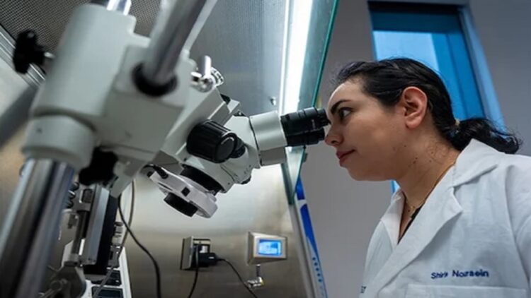 نشانگرهای سرمی