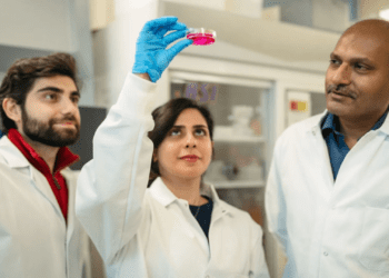 ابداع روشی نوین و ارزان برای تولید ورقههای سلولی مقاوم