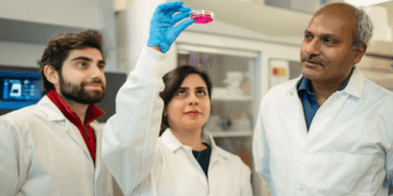 ابداع روشی نوین و ارزان برای تولید ورقههای سلولی مقاوم