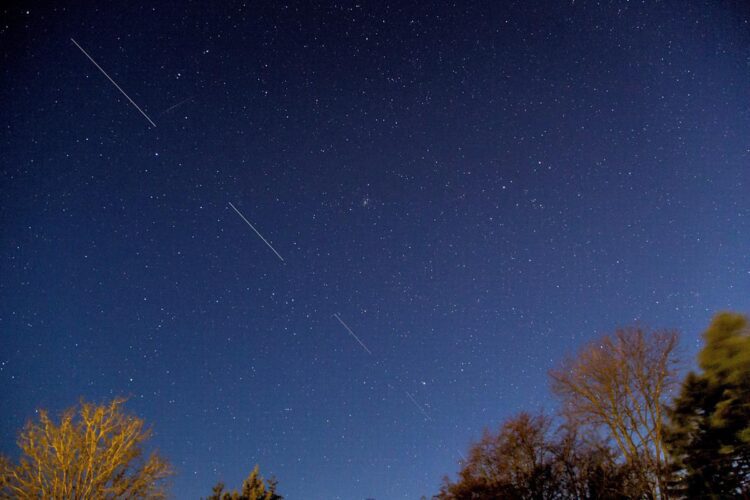 تصویر نمای باز از آسمان شب با ستاره‌های بی‌شمار و رد نورانی حرکت زنجیره‌ای ماهواره‌های استارلینک بر فراز درختان.