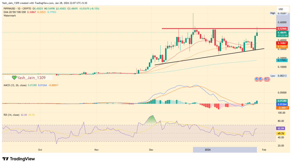 پیپین و هایپرلیکویید پیشتاز بازار شدند