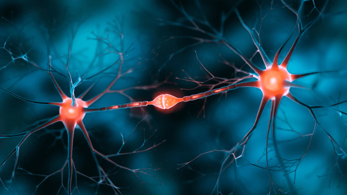 ایمپلنت مغزی نرم چینی با طراحی اوریگامی رقیب نورالینک می شود