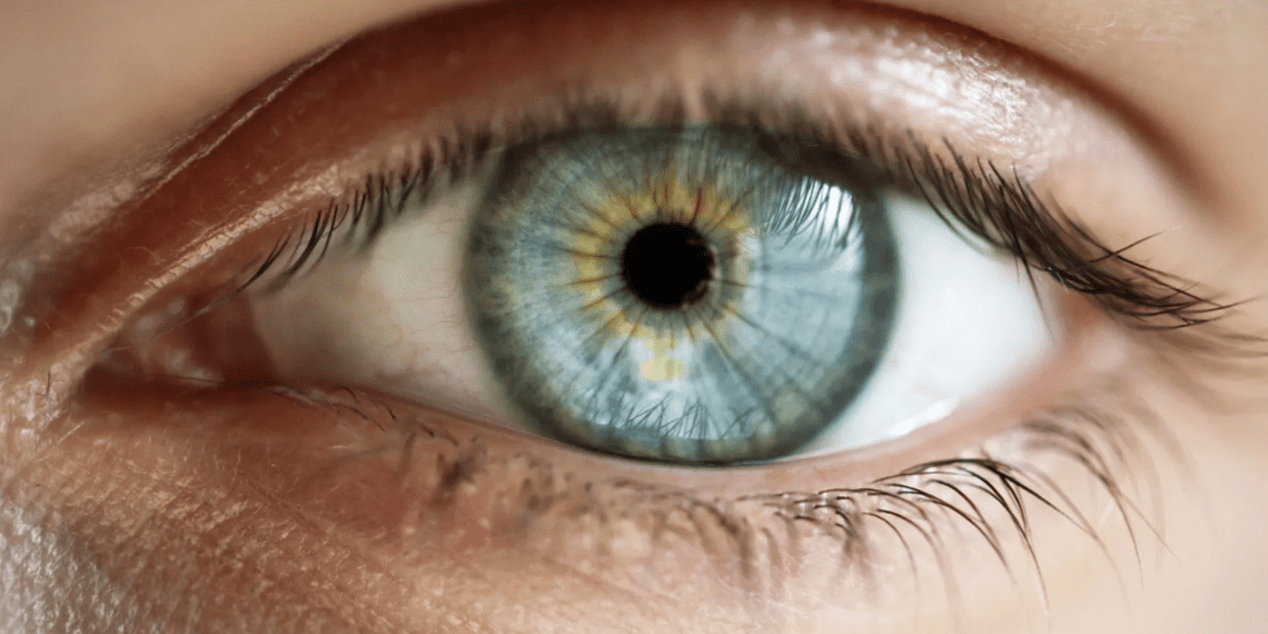 دانشمندان معمای بینایی انسان را حل کردند