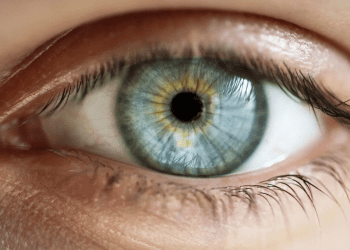 دانشمندان معمای بینایی انسان را حل کردند