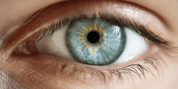 دانشمندان معمای بینایی انسان را حل کردند