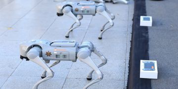 سگ‌های رباتیک مکزیک