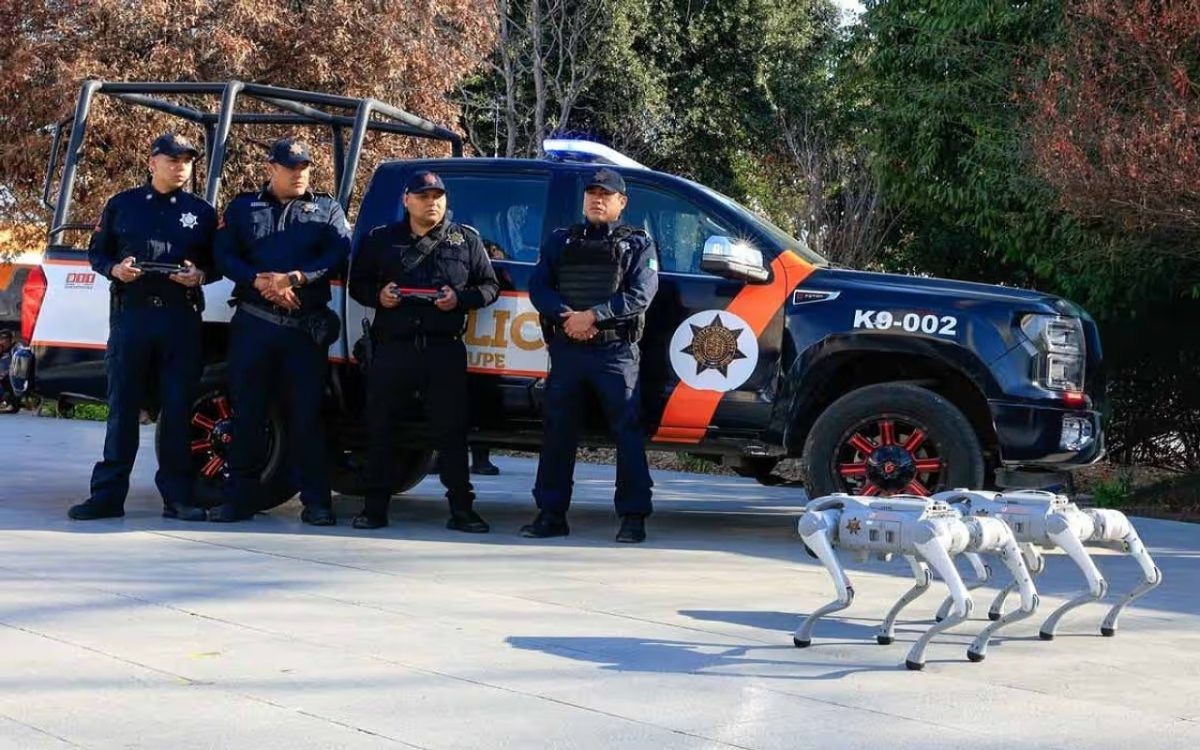 سگ‌های رباتیک مکزیک