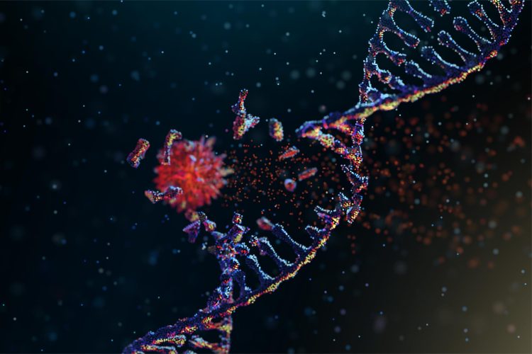 دانشمندان راهی برای غیرفعال کردن ژن‌های سرطانی پیدا کردند