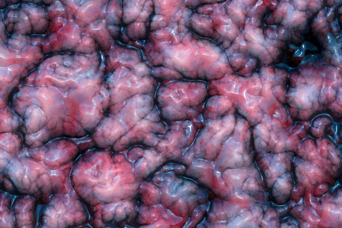 ثبت ۹۱ درصد فعالیت مغز انسان با مش الکترونیکی انعطاف‌پذیر 