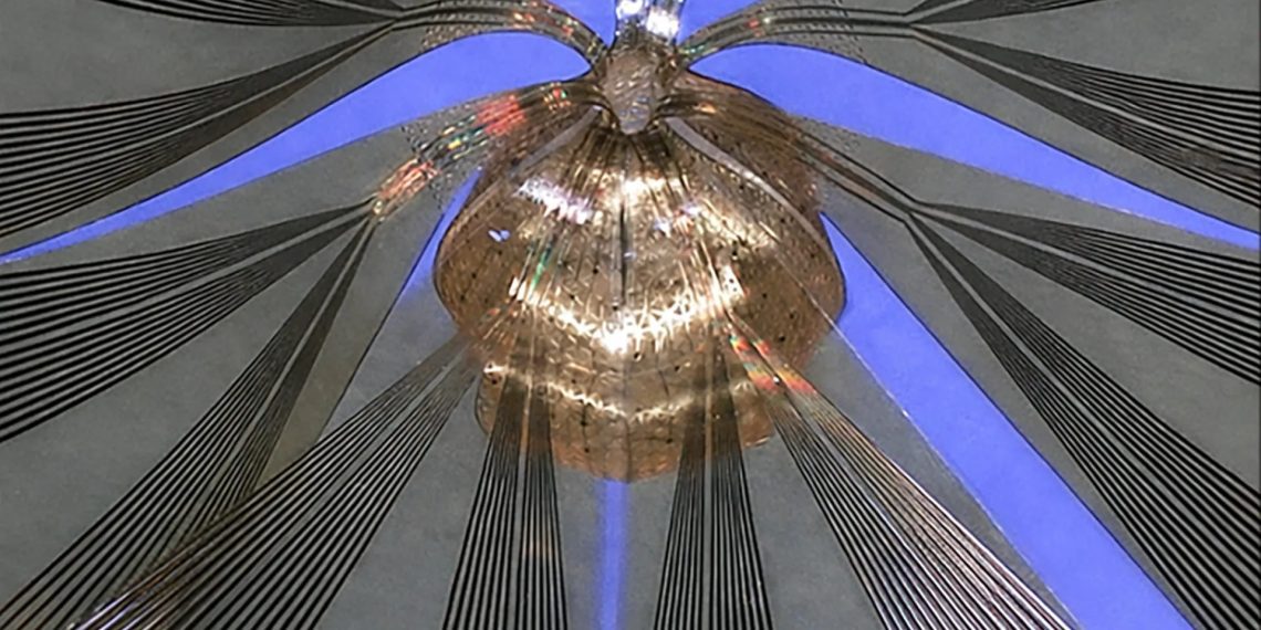 مش الکترونیکی نرم