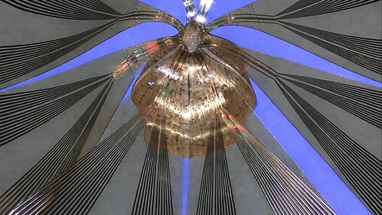 مش الکترونیکی نرم