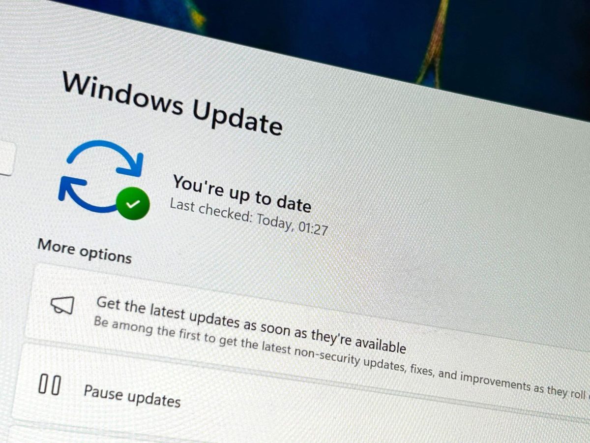 نمای نزدیک از صفحه Windows Update در ویندوز ۱۱ که پیام «You're up to date» را نشان می‌دهد.