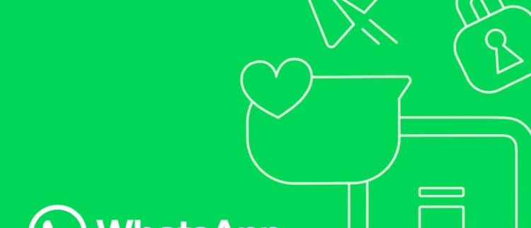 فشار اتحادیه اروپا بر متا برای بازگشت چت‌بات‌های هوش مصنوعی به واتساپ