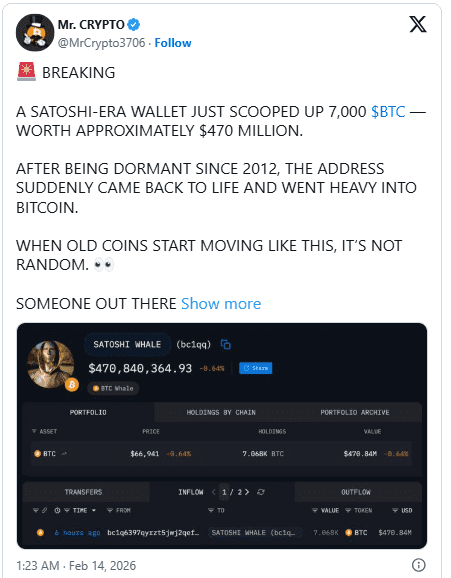 نشانه‌هایی از تغییر موقعیت نهنگ‌های بیت‌کوین