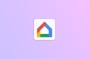 google Home