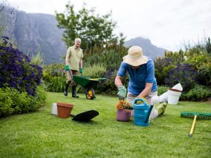 باغبانی استرس را کاهش می دهد
