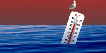 بر اساس گزارش وضعیت آب و هوا که روز چهارشنبه منتشر شد، میزان گرم شدن اقیانوس ها، سطح آب دریاها و غلظت گازهای گلخانه ای همگی در سال 2021 به بالاترین حد خود رسیدند.