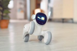 یک شرکت رباتی خانگی به نام لونا طراحی کرده که با مجموعه‌ای از فناوری‌ها می تواند جایگزینی مناسب برای حیوانات خانگی باشد.