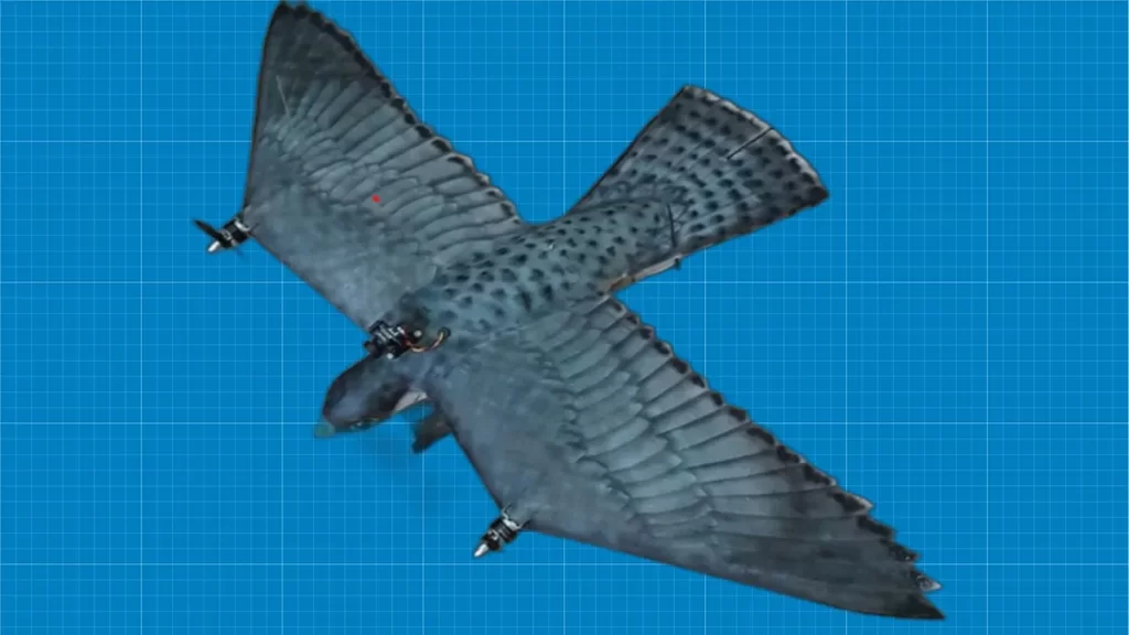 یک ربات پرنده کنترل از راه دور که توسط دانشگاه گرونینگن، دانشگاه توشیا، Roflight، Lemselobrink و محققان نیروی هوایی سلطنتی هلند طراحی شده است، دقیقا شبیه به پرنده شاهین است و می تواند پرندگان را از فضای فرودگاه ها دور کند.