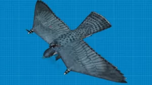 یک ربات پرنده کنترل از راه دور که توسط دانشگاه گرونینگن، دانشگاه توشیا، Roflight، Lemselobrink و محققان نیروی هوایی سلطنتی هلند طراحی شده است، دقیقا شبیه به پرنده شاهین است و می تواند پرندگان را از فضای فرودگاه ها دور کند.