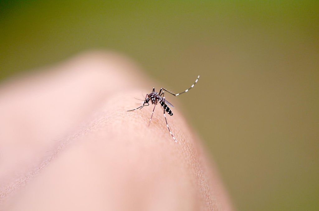 در اولین آزمایش بزرگ دنیای واقعی برای آنتی بادی‌ مونوکلونال علیه مالاریا، یک مطالعه جدید نتایج فوق‌العاده امیدوارکننده‌ای را گزارش کرده است
