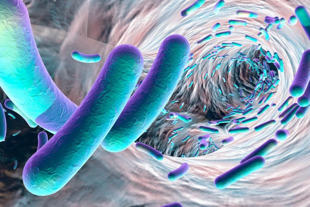 محققان دانشگاه آکسفورد می گویند، برای اولین بار، حرکت باکتری‌های مقاوم به آنتی‌بیوتیک را از میکروبیوم روده بیمار به ریه‌ها ردیابی کرده اند.