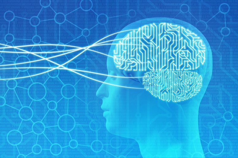 در یک مطالعه جدید، محققان نشان می‌دهند که کاربران فلج می‌توانند با ویلچرهای کنترل‌شده ذهنی در یک محیط طبیعی و بهم ریخته حرکت کنند. ویلچر کنترل شده با ذهن به افراد فلج کمک می کند تا با تبدیل افکار کاربران به دستورات مکانیکی، تردد کنند