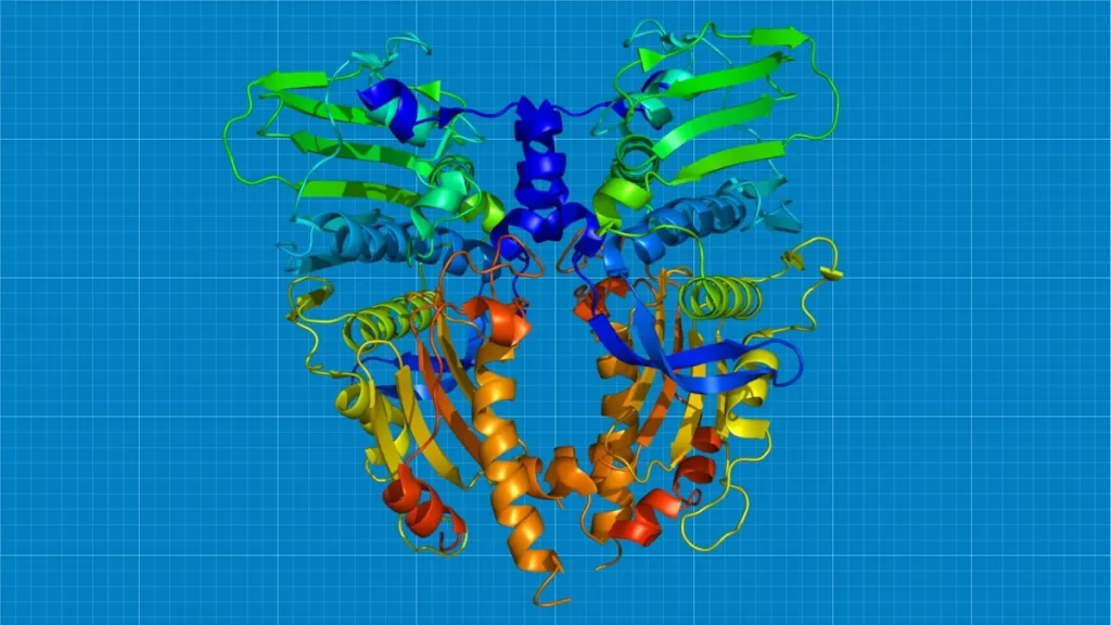 ساختار پروتئین TOP2A