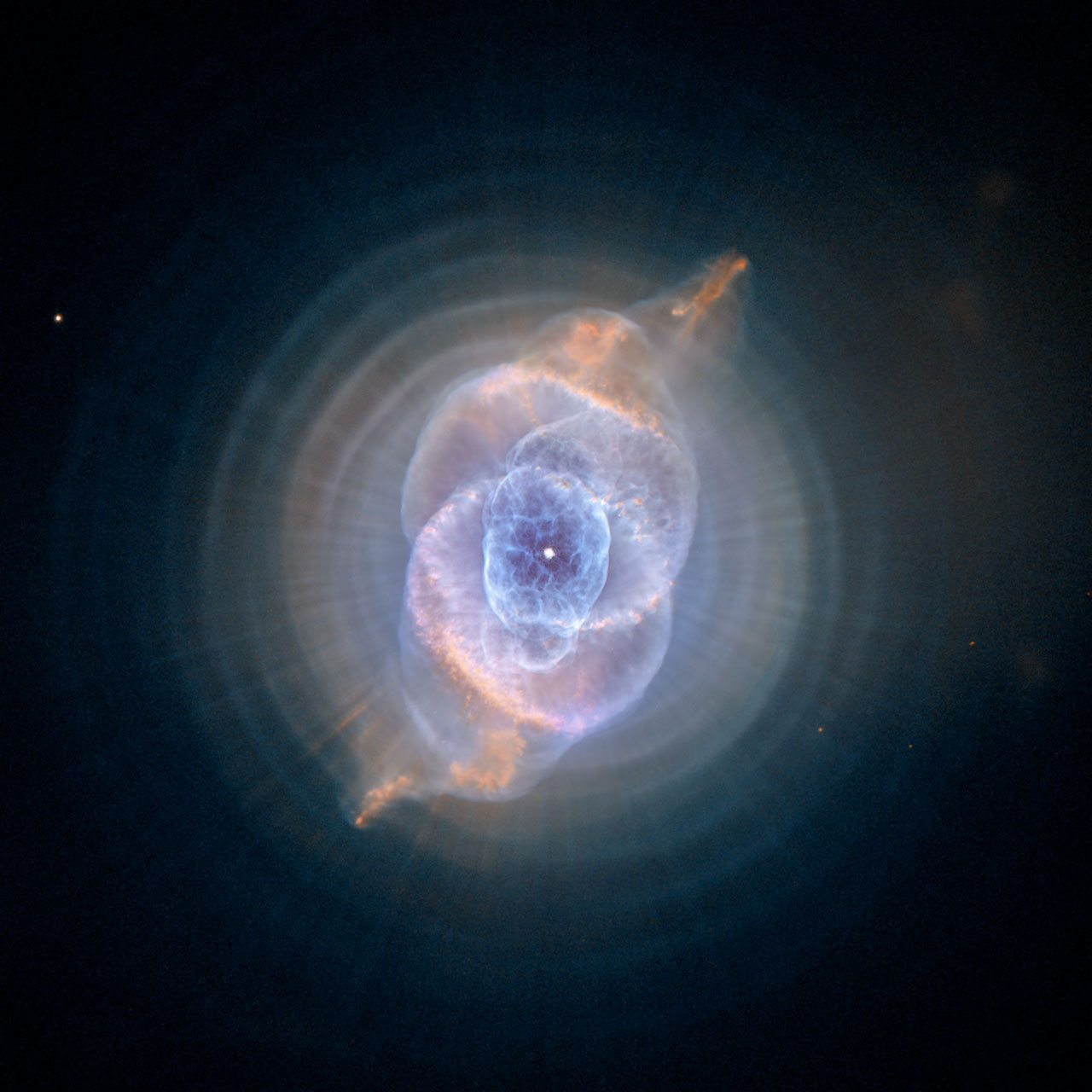 سحابی های سیاره ای که در سراسر جهان قابل مشاهده هستند، از جمله سحابی مارپیچ، سحابی چشم گربه، سحابی حلقه و سحابی حباب.