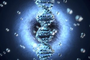 گروهی تحقیقاتی یک برنامه رایانه ای درست کرده اند که تاریخچه جهش های مضر در ژنوم انسان را در طول تکامل ردیابی می کند.