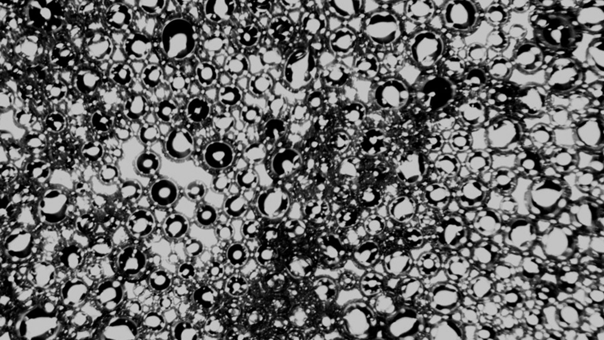تصویر میکروسکوپی از نانوحباب ها پس از فراصوت با استفاده از اختراع UCF