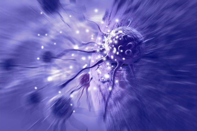 محققان اسپانیایی و دانمارکی در حین تولید یکی از مولکول‌ های منشأ حیات تکنیکی برای حمله به سلول‌های سرطانی کشف کردند.