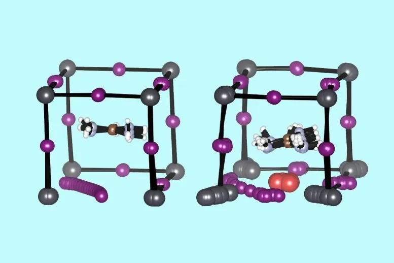 نمودارهایی که ساختار یک مولکول پروسکایت تغییر نیافته (سمت چپ) را با یون های ید (بنفش) در حال مهاجرت نشان می دهد. و یک مولکول پروسکایت با یون های نئودیمیم (قرمز) اضافه شده برای کمک به حفظ یون ید