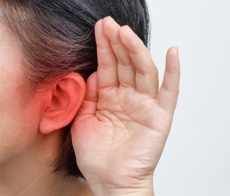 بررسی محققان نشان می دهد تجربه شنوایی انسان آنچه قبلاً تصور می شد متفاوت شده است این یافته ها می تواند طراحی کاشت حلزون گوش را بهبود ببخشد.