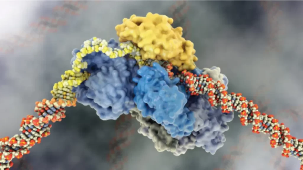 ترمیم DNA در سطح مولکولی برای درمان سرطان